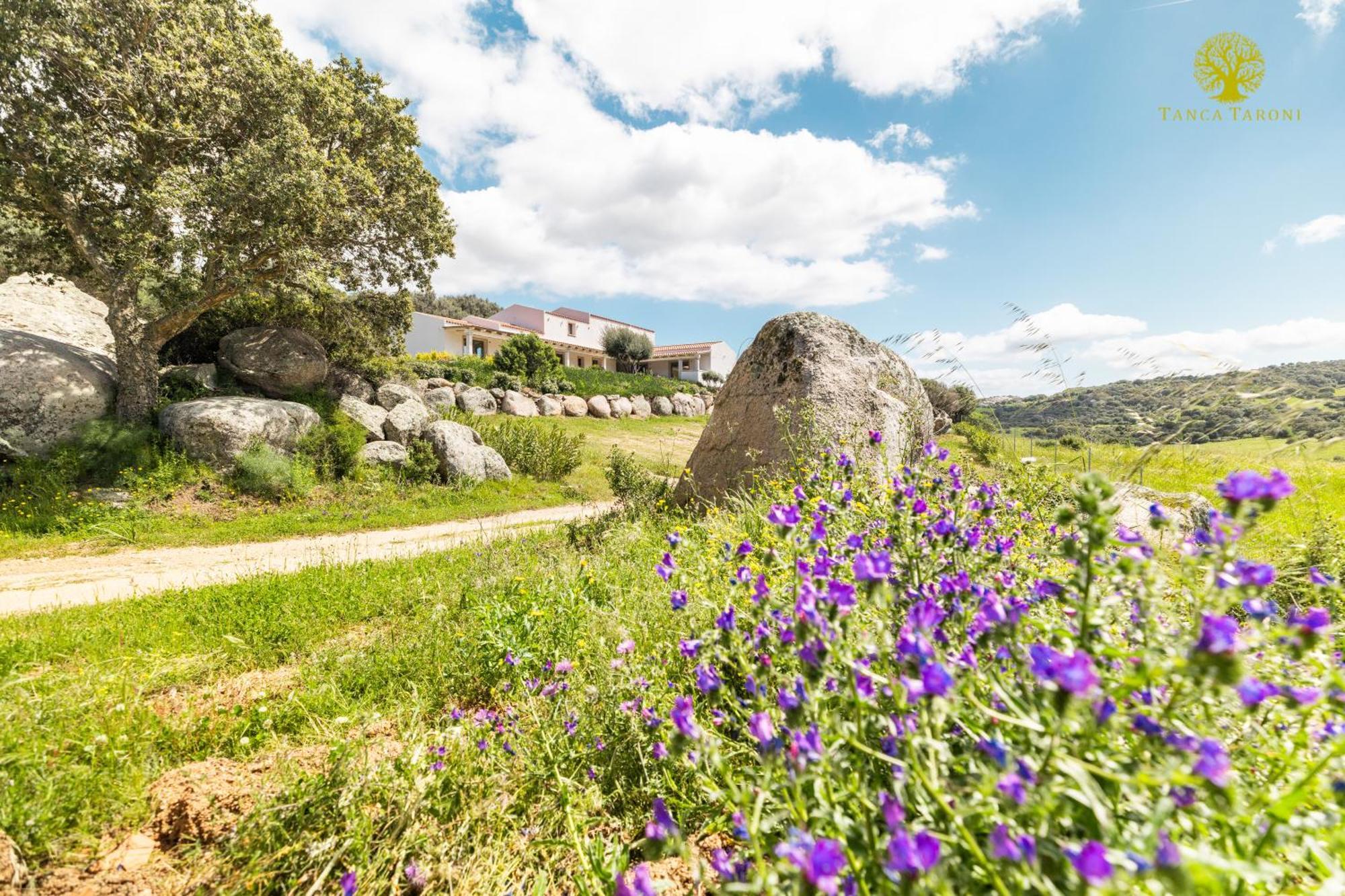 Agriturismo Bed And Breakfast Tanca Taroni Telti Exterior photo