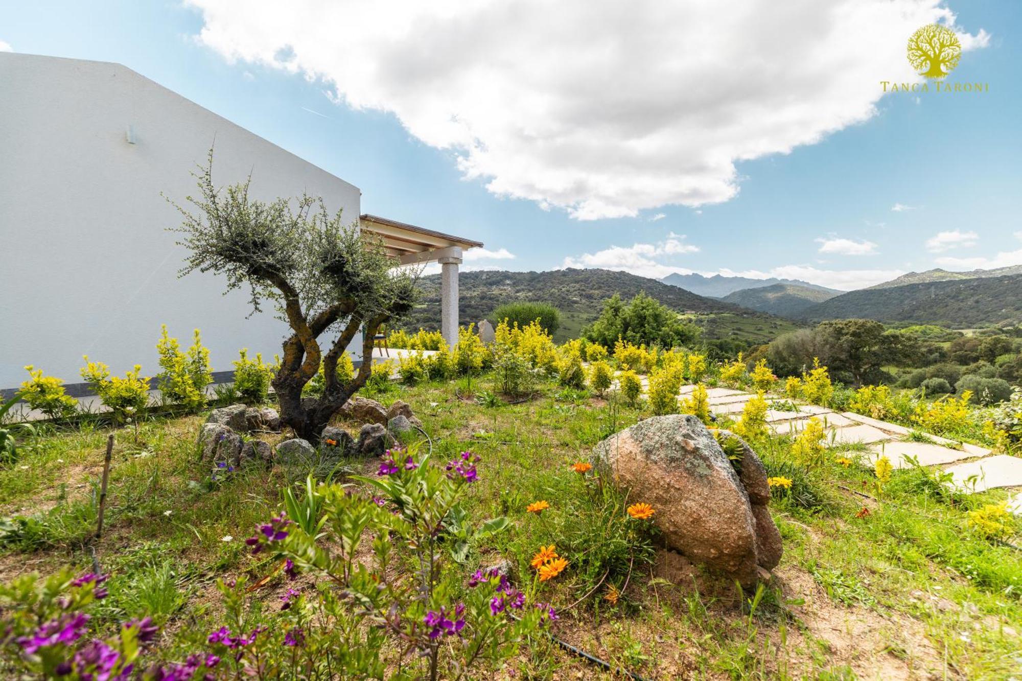 Agriturismo Bed And Breakfast Tanca Taroni Telti Exterior photo